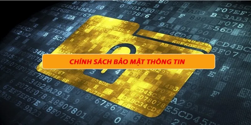 Trách nhiệm của người chơi đối với chính sách