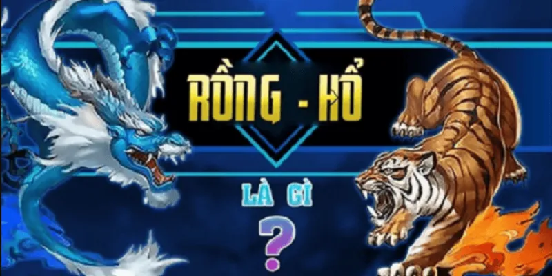 Nắm vững quy tắc Rồng Hổ